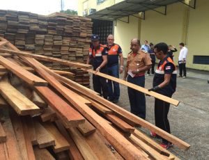 Imagem da notícia - Defesa Civil do Amazonas doa madeira e duas toneladas de medicamentos a municípios afetados pela enchente no Estado